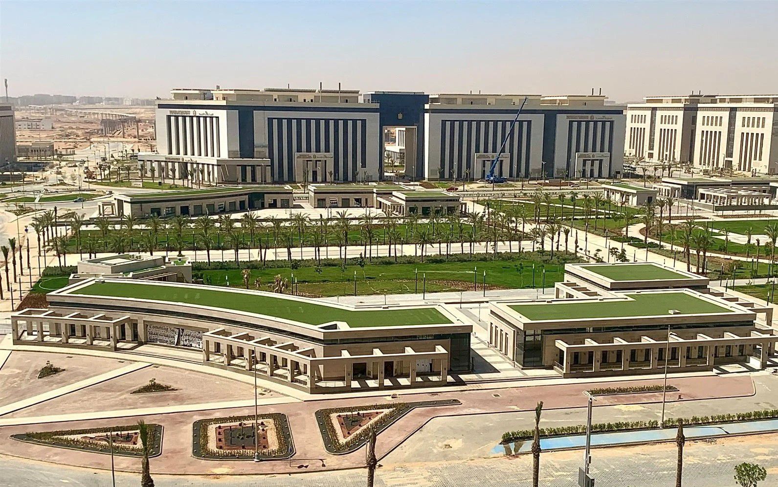 alamami - العمامي
