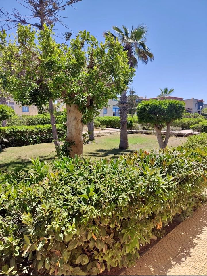 ارض مميزة بالمنوفية ٣ قراريط مسجلة للبيع ناصية بحر شبين و الطريق الاسفلت .. اول طريق عزبة البحر