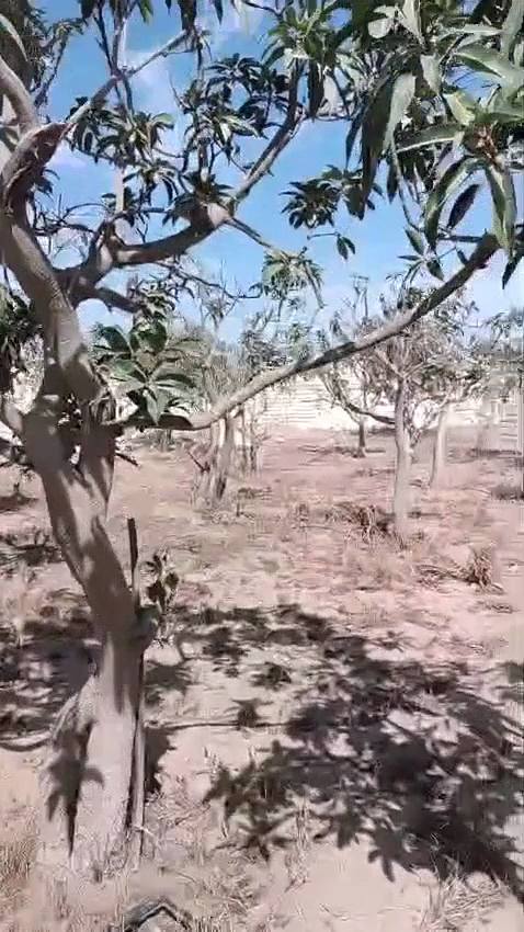 الريف الأوروبي الكيلو ٥٨ طريق مصر اسكندرية الصحراوي ٣٠ دقيقة للشيخ زايد واكتوبر ومول العرب