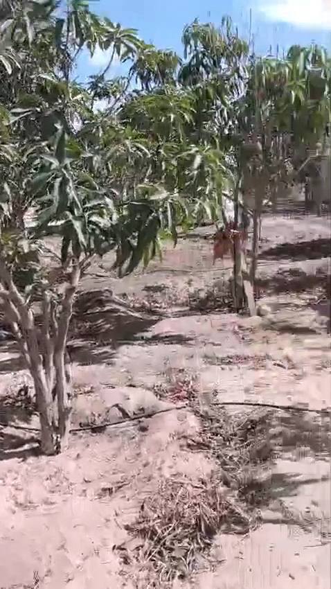 الريف الأوروبي الكيلو ٥٨ طريق مصر اسكندرية الصحراوي ٣٠ دقيقة للشيخ زايد واكتوبر ومول العرب