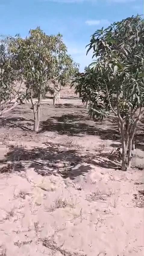 الريف الأوروبي الكيلو ٥٨ طريق مصر اسكندرية الصحراوي ٣٠ دقيقة للشيخ زايد واكتوبر ومول العرب