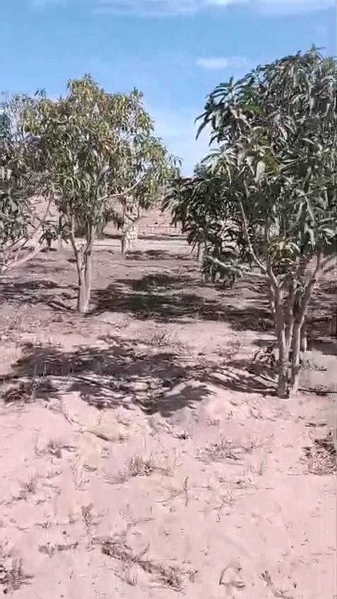 الريف الأوروبي الكيلو ٥٨ طريق مصر اسكندرية الصحراوي ٣٠ دقيقة للشيخ زايد واكتوبر ومول العرب
