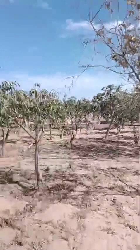 الريف الأوروبي الكيلو ٥٨ طريق مصر اسكندرية الصحراوي ٣٠ دقيقة للشيخ زايد واكتوبر ومول العرب