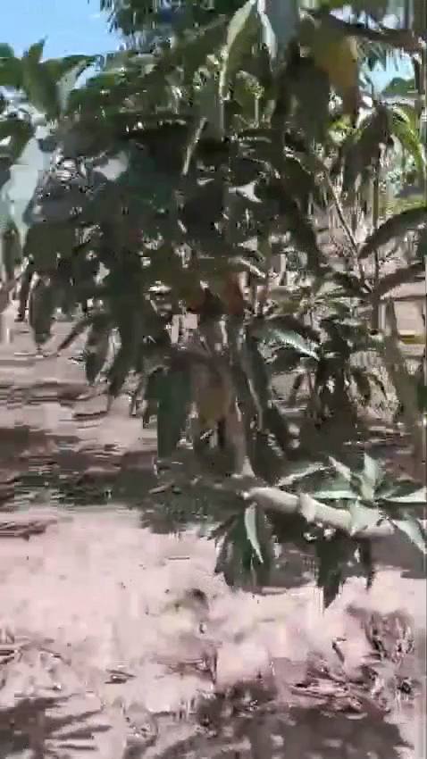 الريف الأوروبي الكيلو ٥٨ طريق مصر اسكندرية الصحراوي ٣٠ دقيقة للشيخ زايد واكتوبر ومول العرب